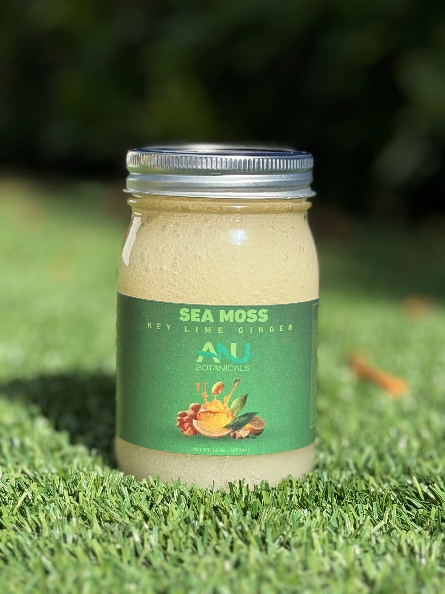 Sea Moss Gel | Ginger Lime